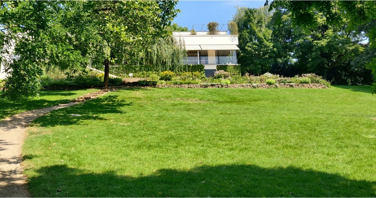 Humic & Fulvic Acid for Lawns: Benefits, Application & Best Fertilizers