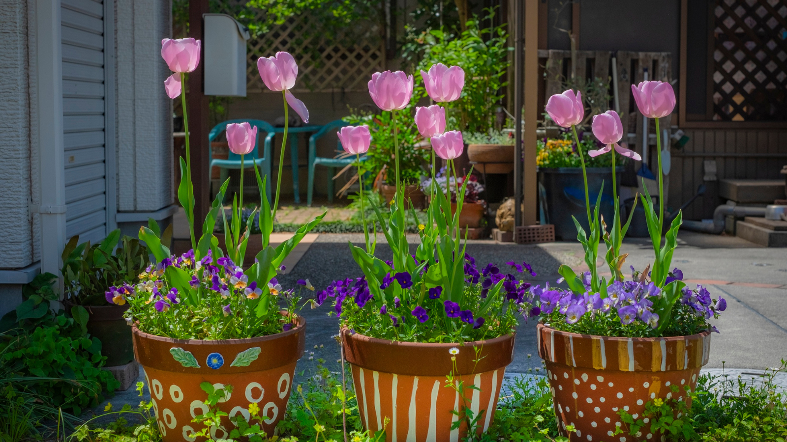 Plant Personalities and Their Nutrient Preferences: If Plants Could Choose Their Fertilizer