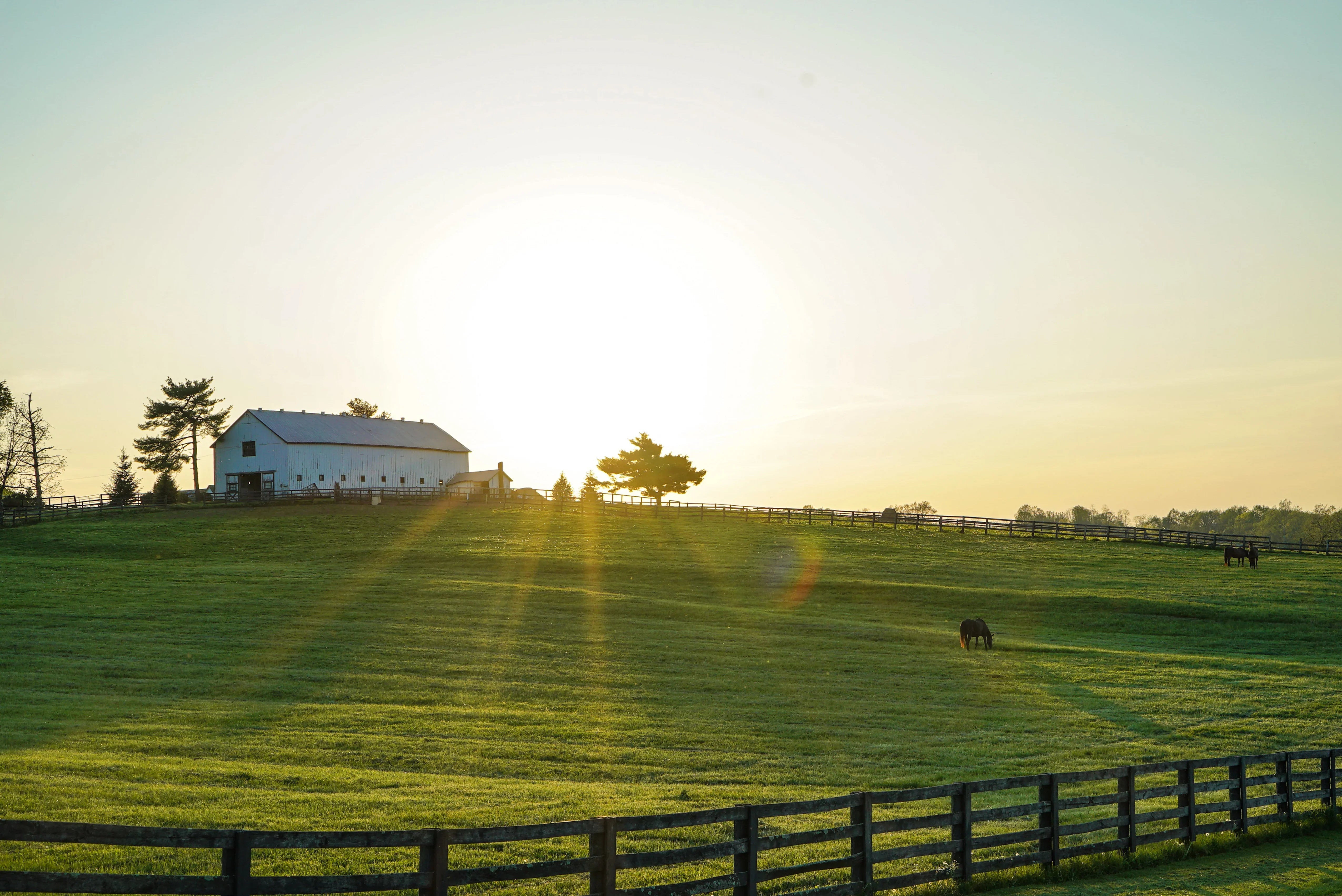 Farm and Ranch