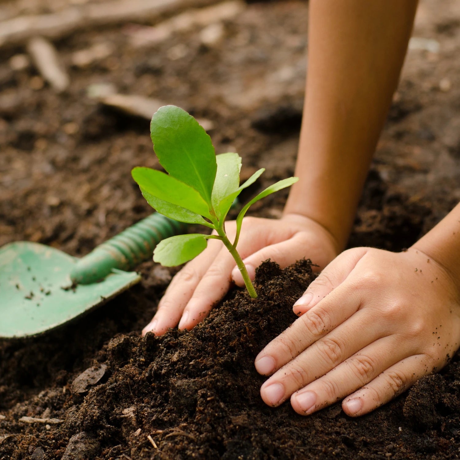 Soil