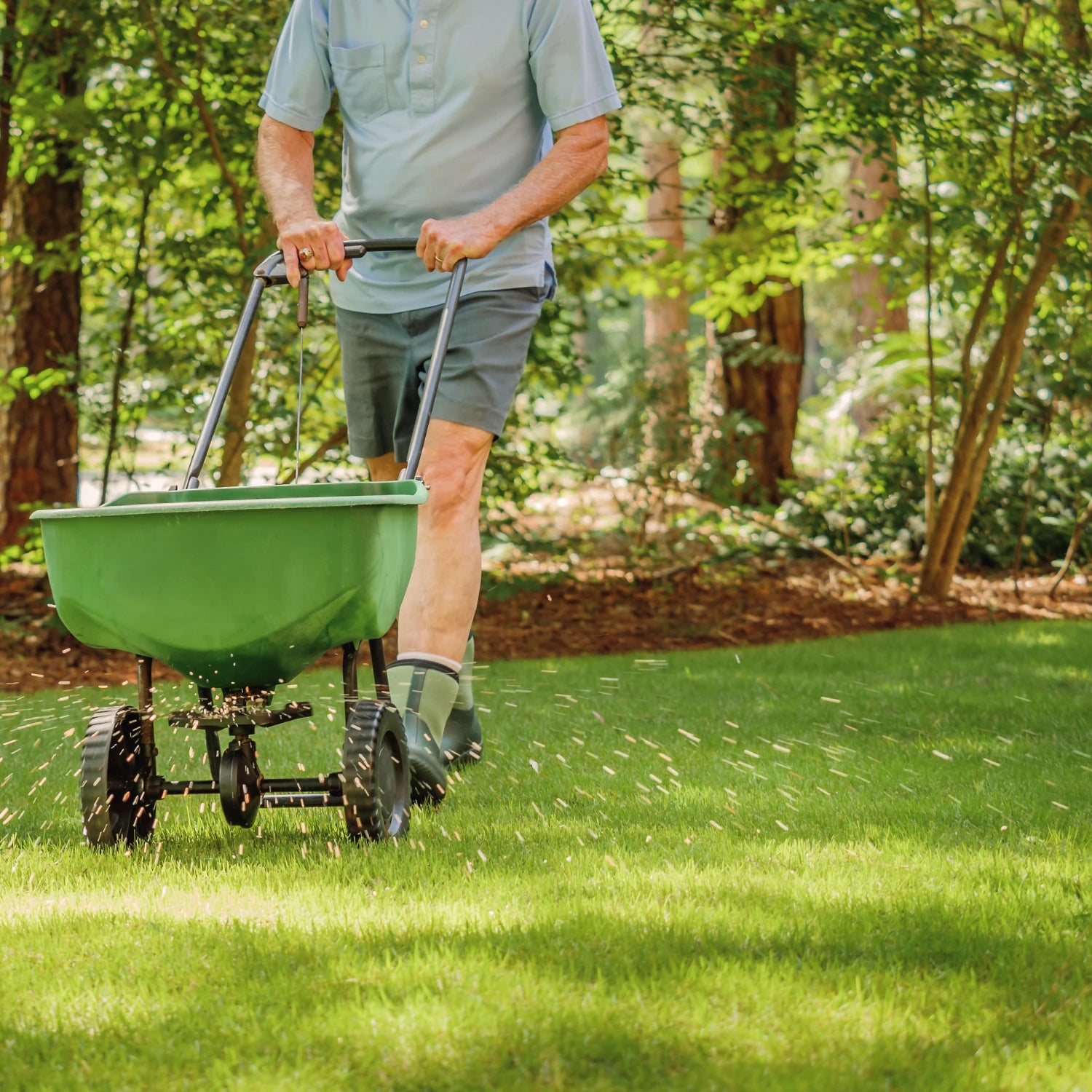 Lawn Care