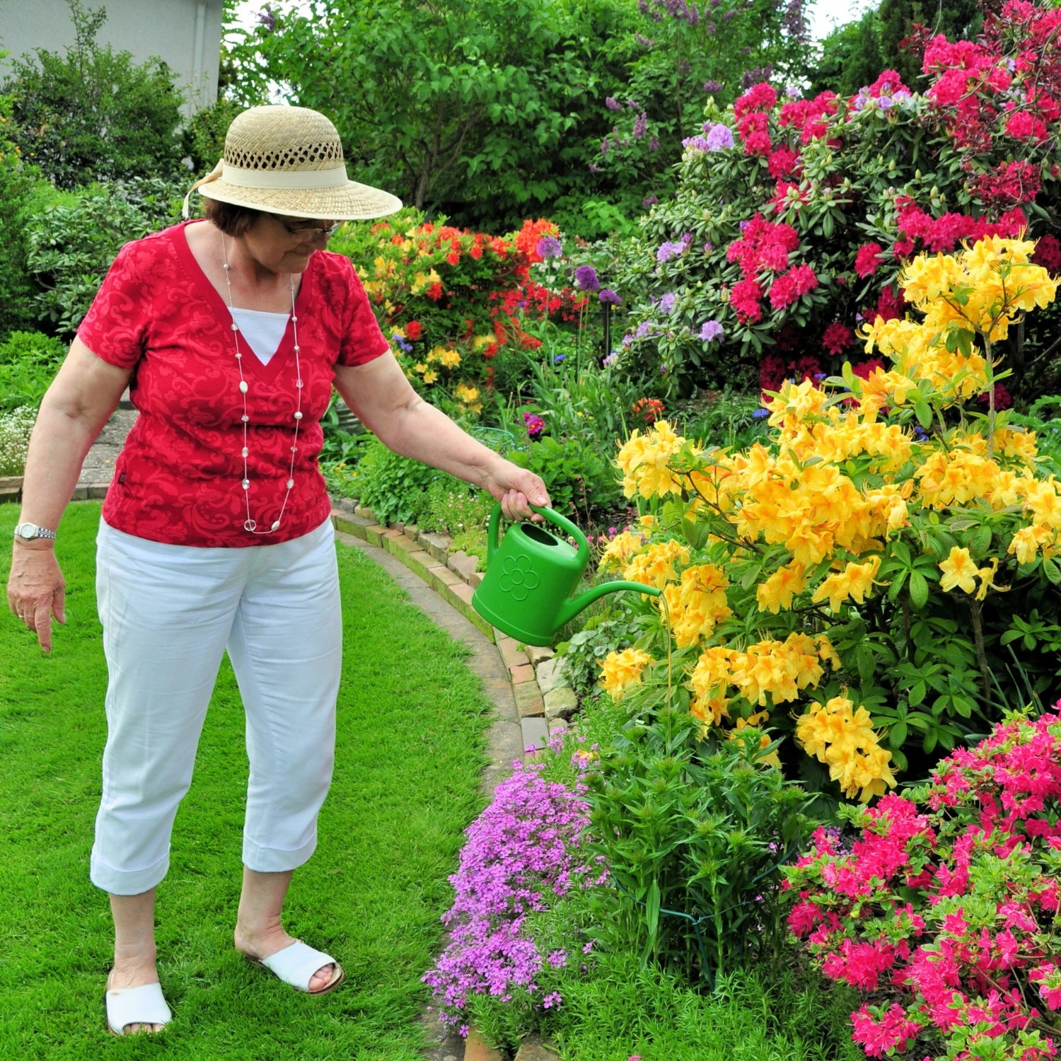 Trees and Shrubs