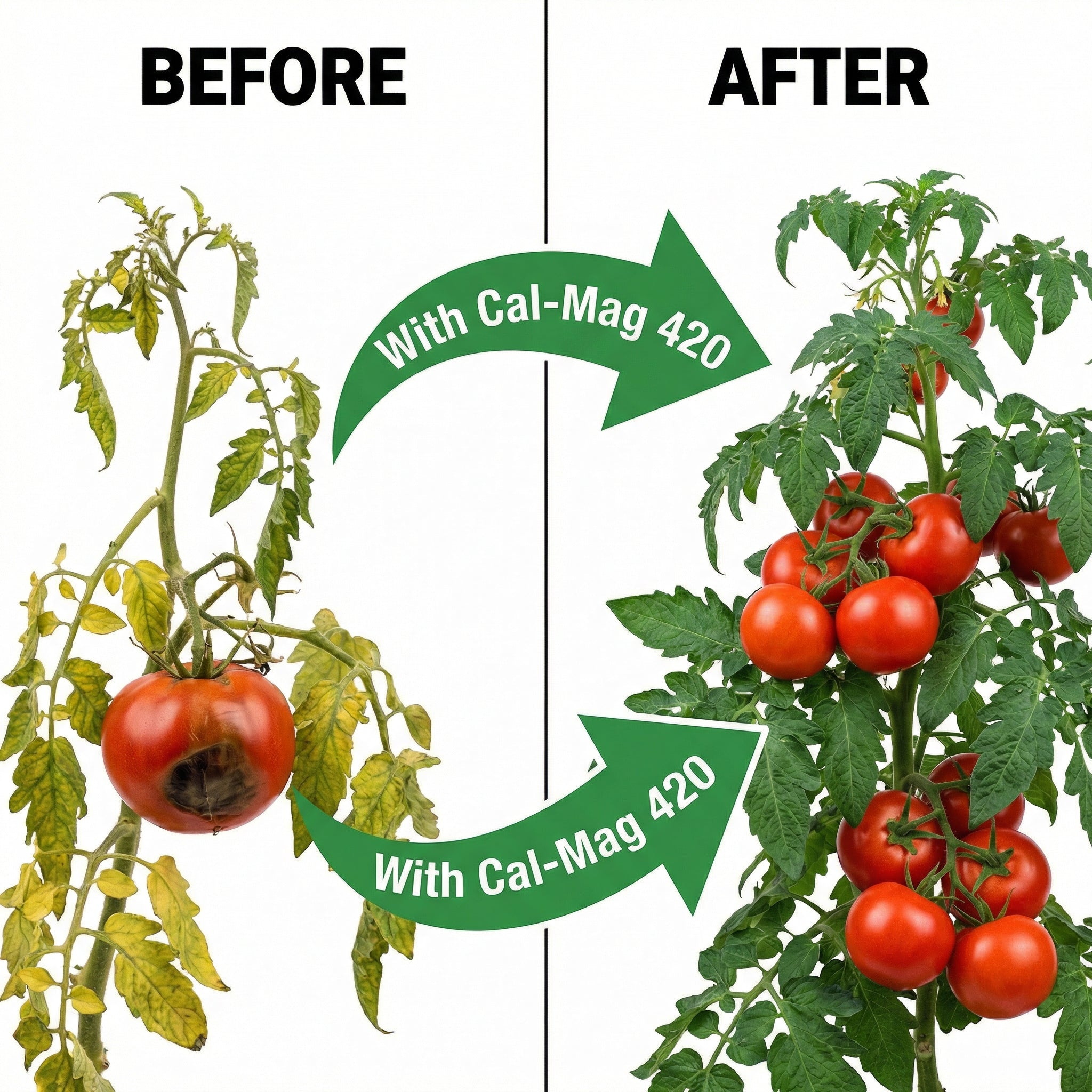 Cal-Mag Extreme – Advanced Calcium, Magnesium & Micronutrient Supplement for Plants – Strengthens Cell Walls, Prevents Deficiencies & Promotes Vigorous Growth – For All Plants, Lawns & Gardens