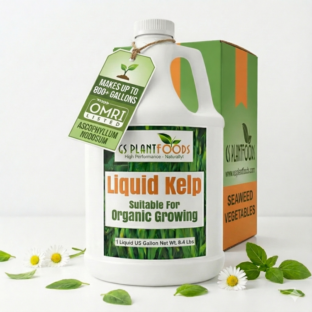 Organic Liquid Kelp Seaweed