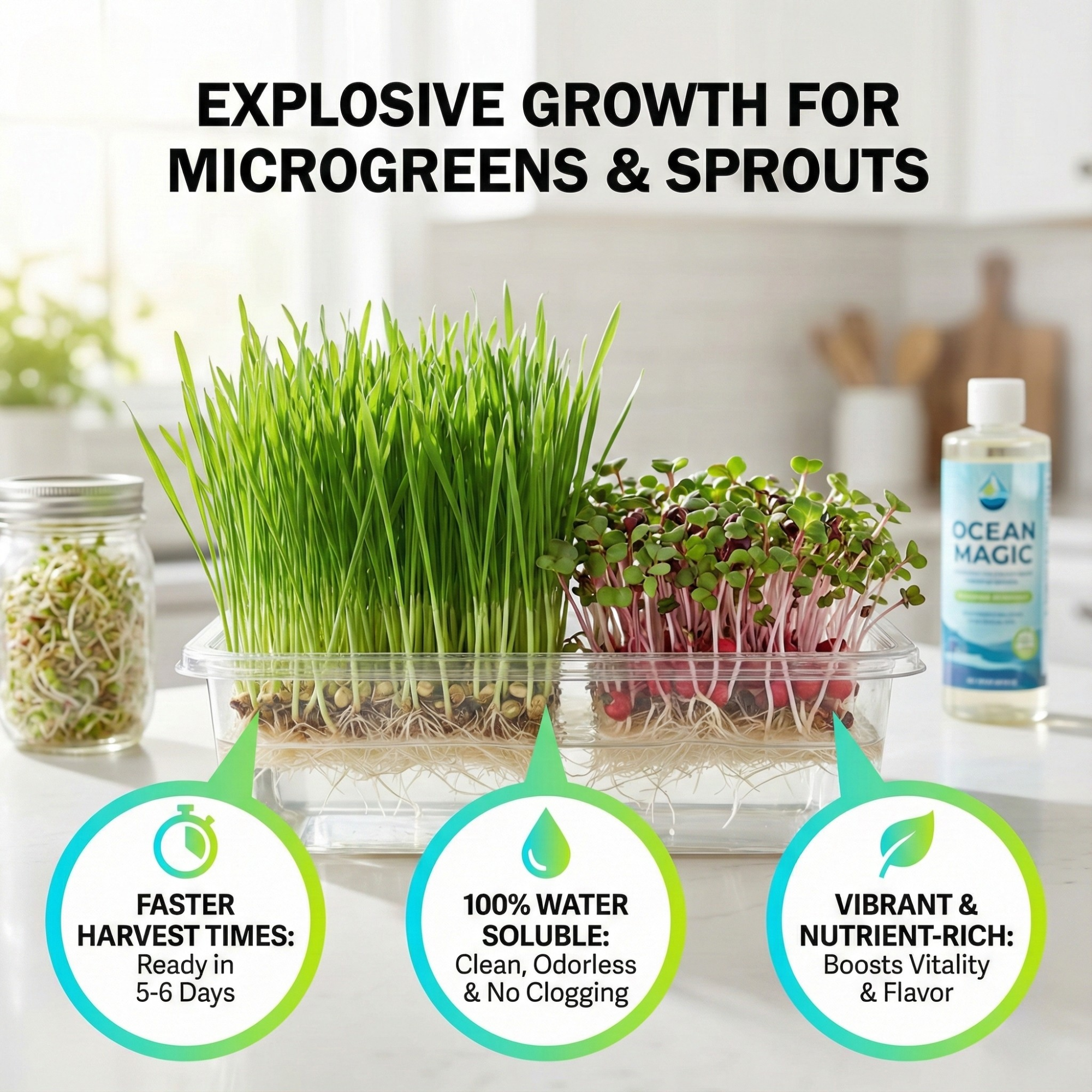 Ocean Magic Sea Minerals