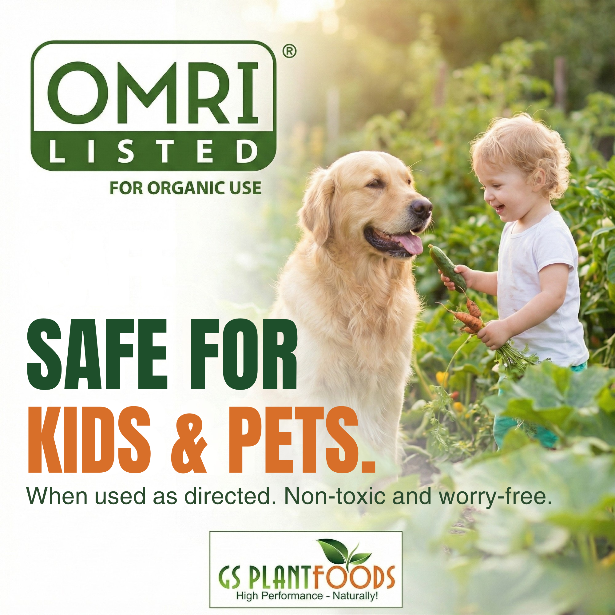 Organic Liquid Kelp Seaweed