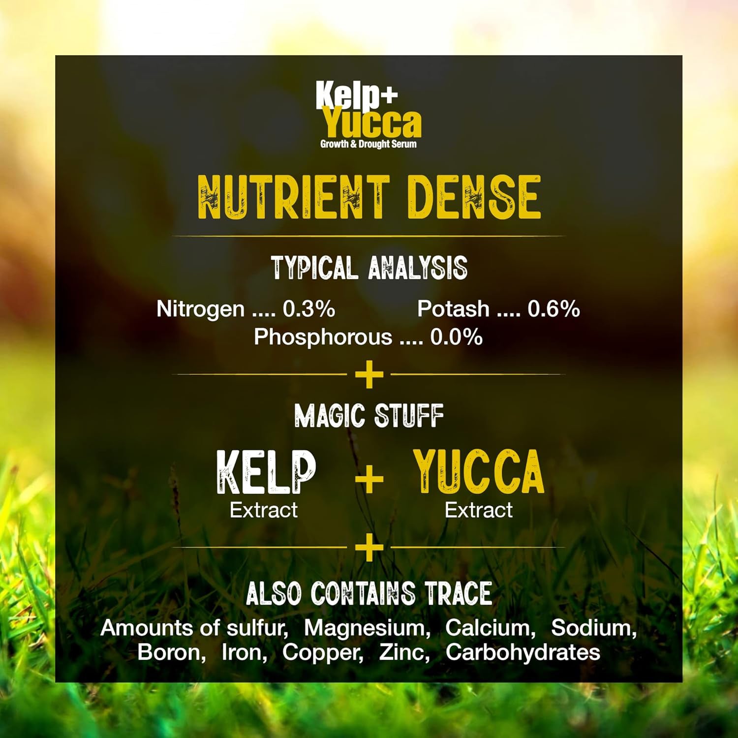 Kelp + Yucca – Organic Soil Moisture Retainer & Plant Growth Enhancer – Seaweed + Yucca Extract Blend for Stronger Roots, Better Water Absorption & Stress Resistance