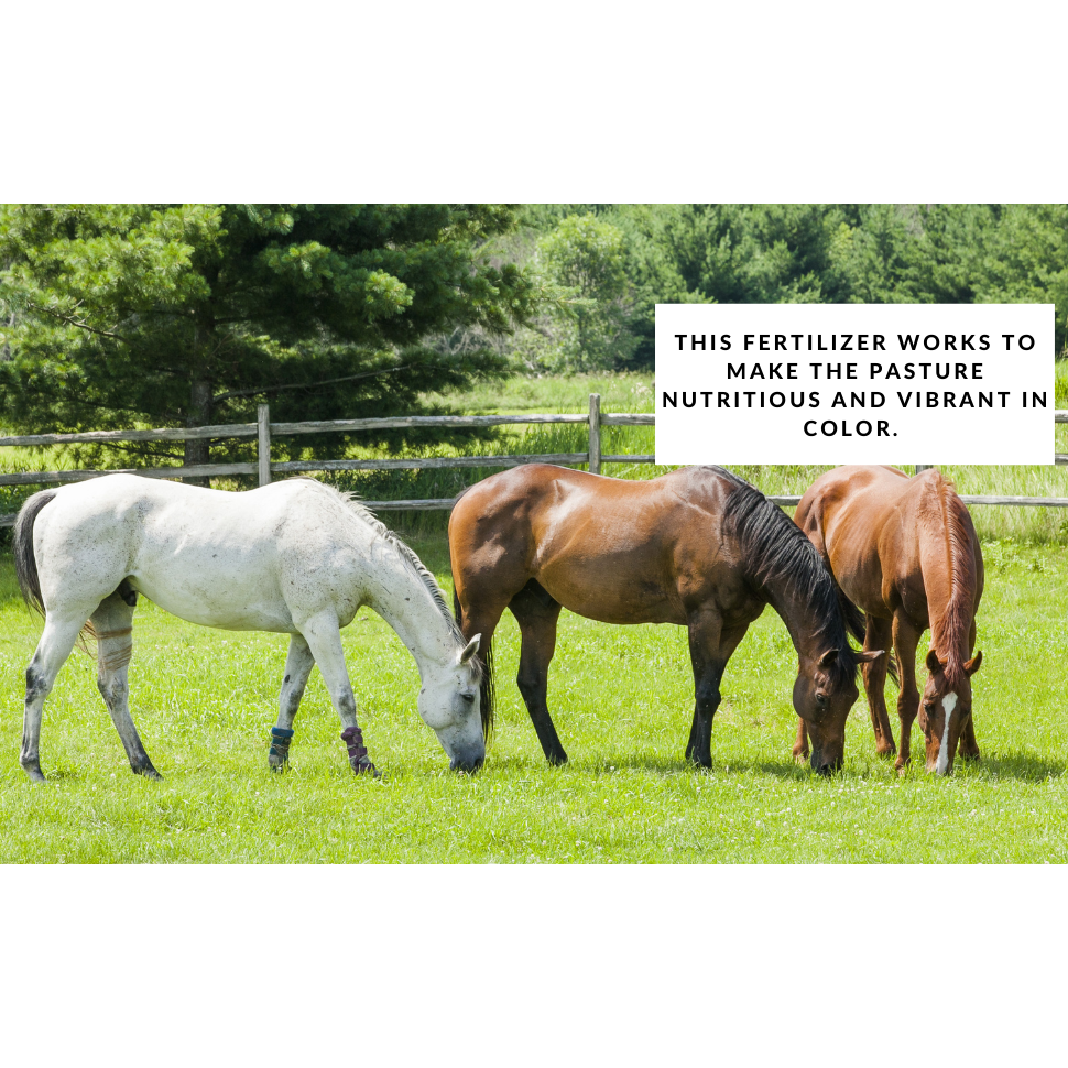 Hay & Pasture Formula - Organic Pasture Fertilizer with Humic Acid & Fulvic Acid