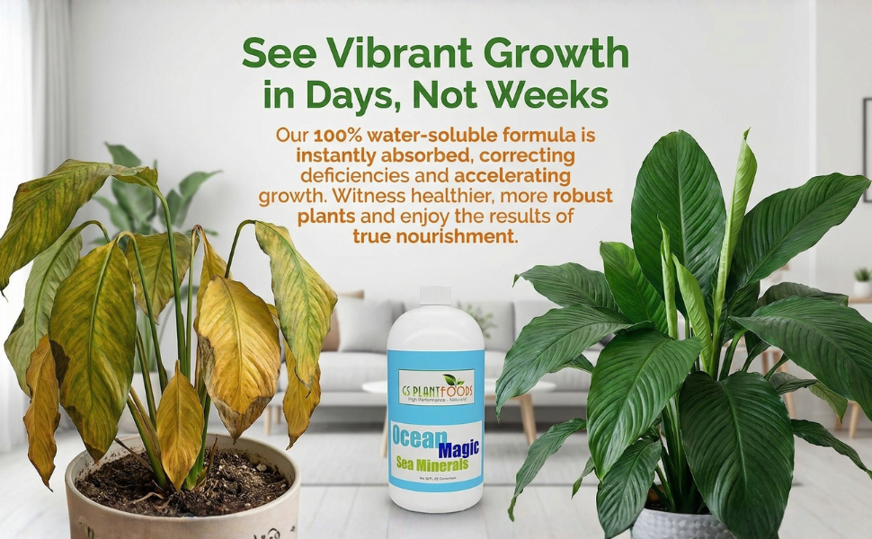 Ocean Magic Sea Minerals