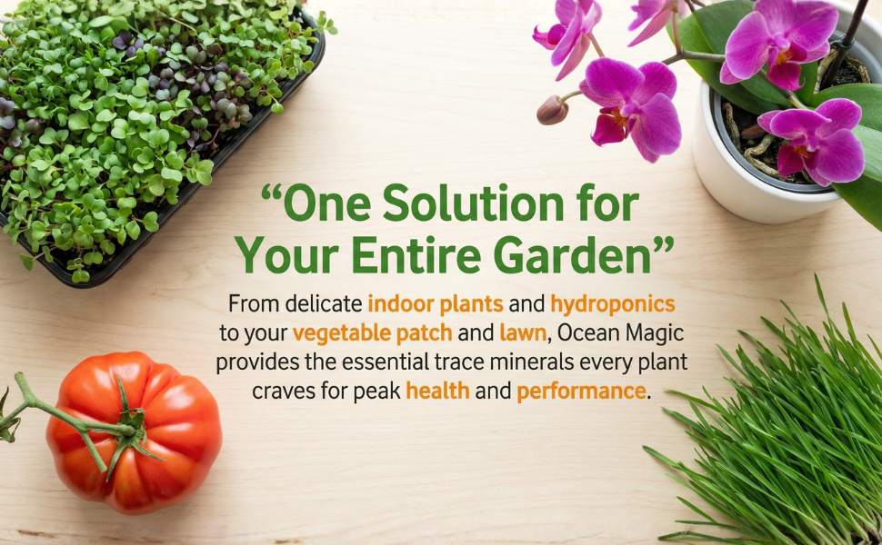 Ocean Magic Sea Minerals