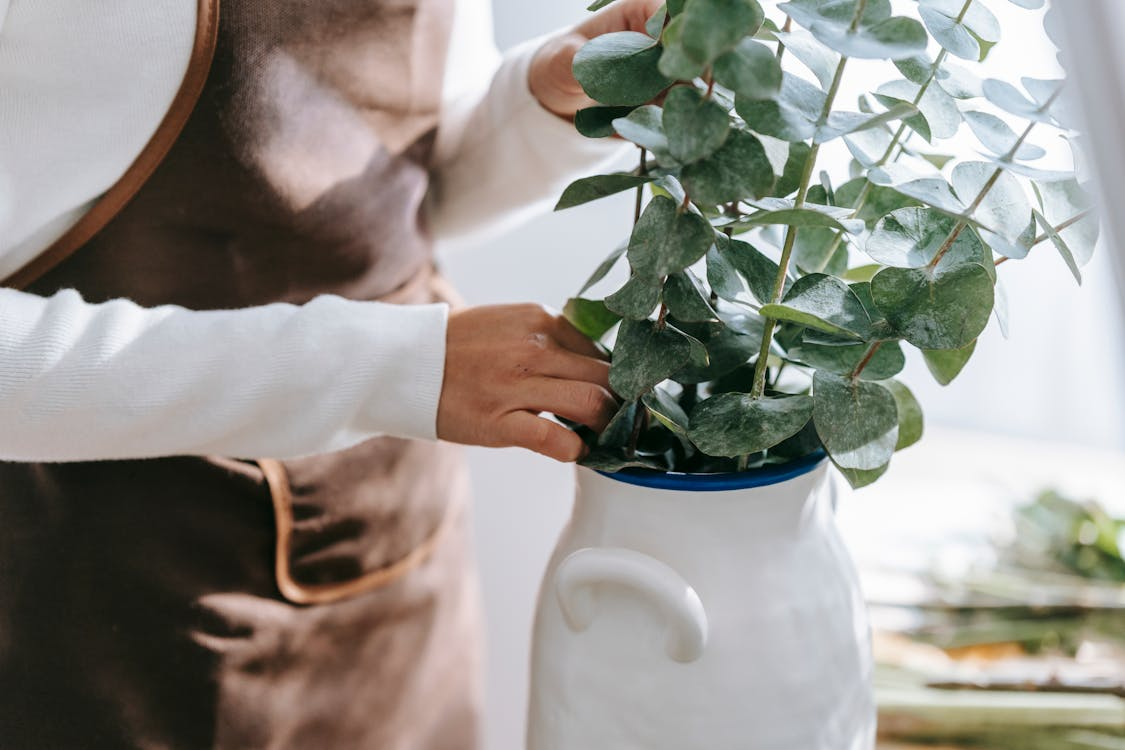 How to Tell If a Plant Is Cold: 5 Signs to Look For
