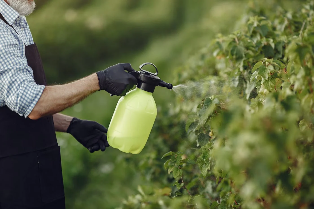 Liquid Kelp for Lawns: Benefits, Uses & Where to Buy