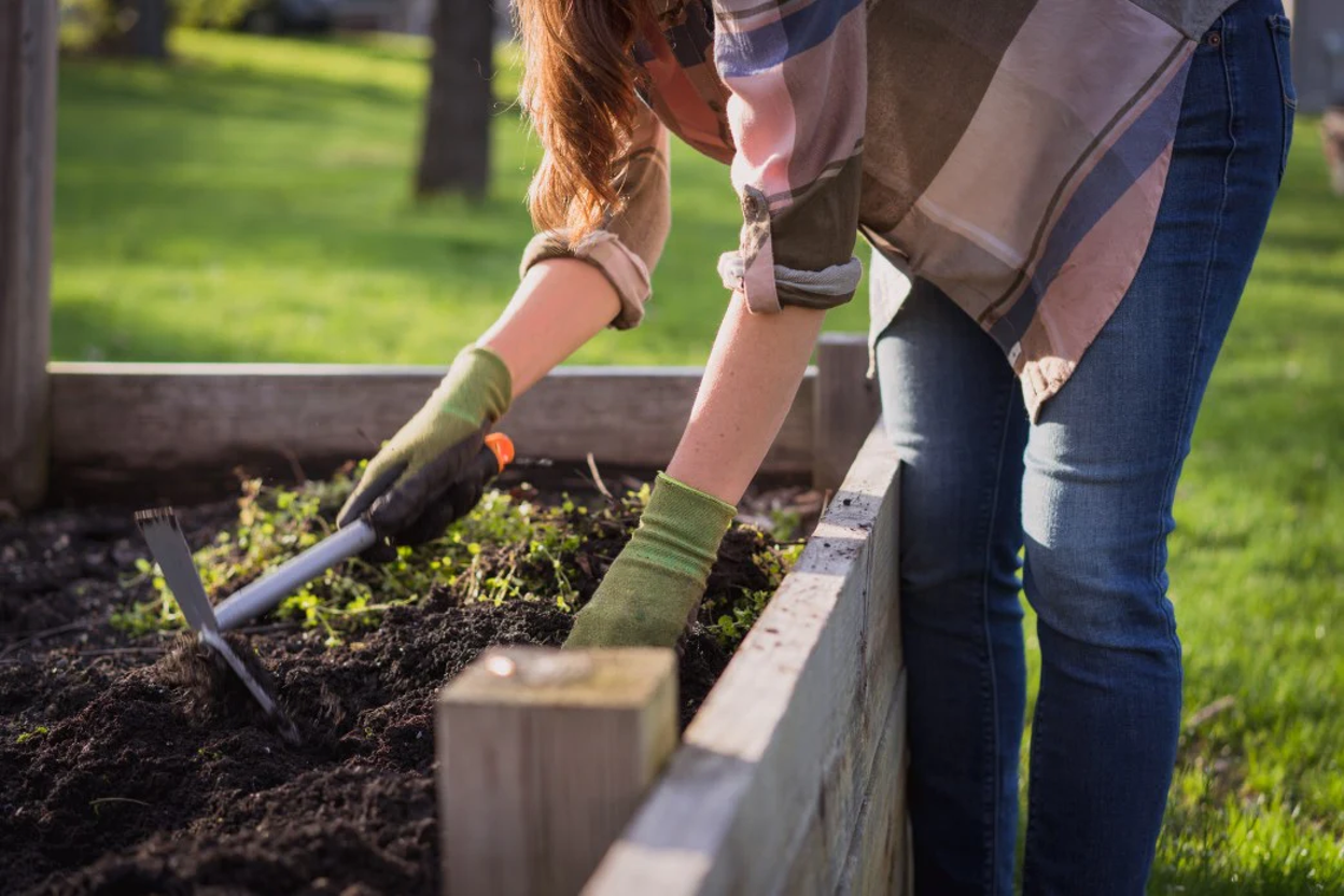 Humic Acid for Plants: Benefits, Dosage & How to Apply