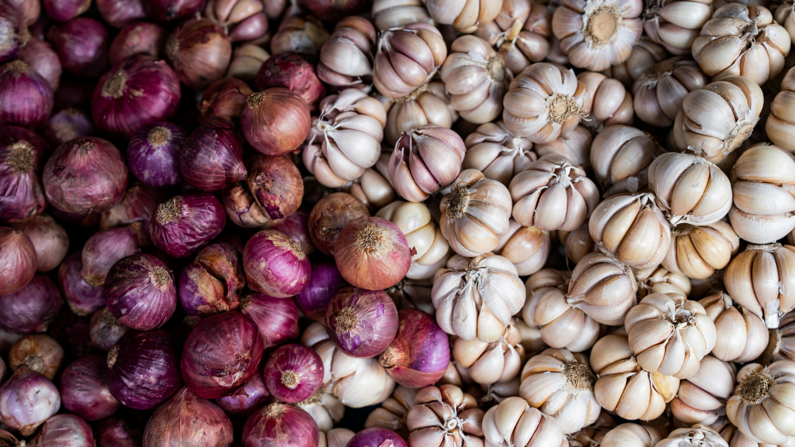 How to Plant Onions: The Ultimate Fertilizer Guide for Bigger, Healthier Bulbs