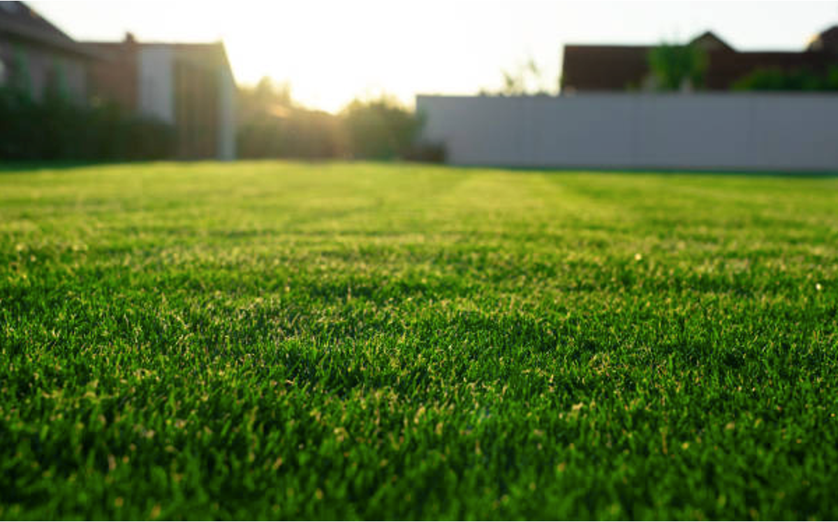 Spring Lawn Care Schedule: Soil Preparation & Fertilizer Tips