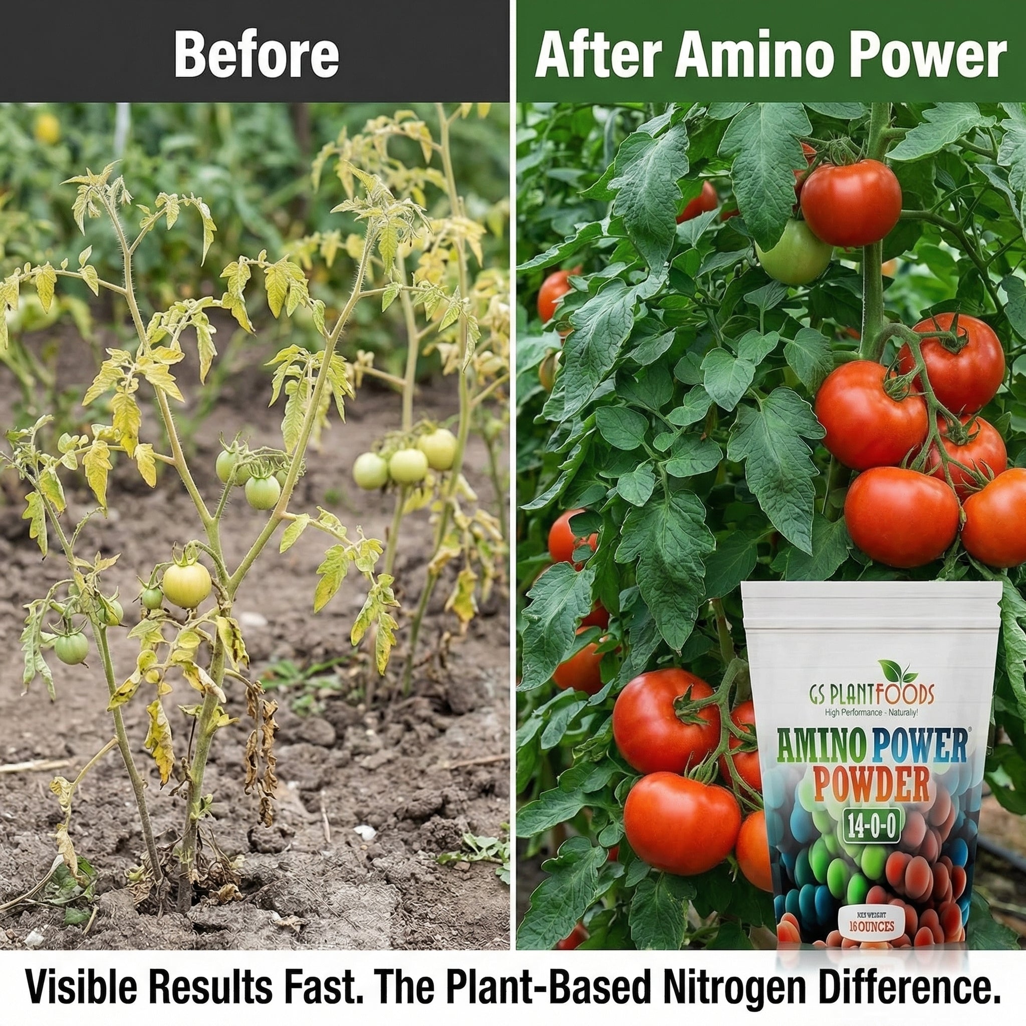 Amino Power Powder Nitrogen Fertilizer 16 oz - Plant-Based 100