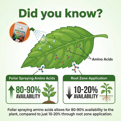 Amino Power Powder Nitrogen Fertilizer 16 oz - Plant-Based 100% Water Soluble High Nitrogen Source - 18 L-Amino Acids Chelating Agent for Foliar Spray, Turf, Vegetables, Fruits & Indoor Plants