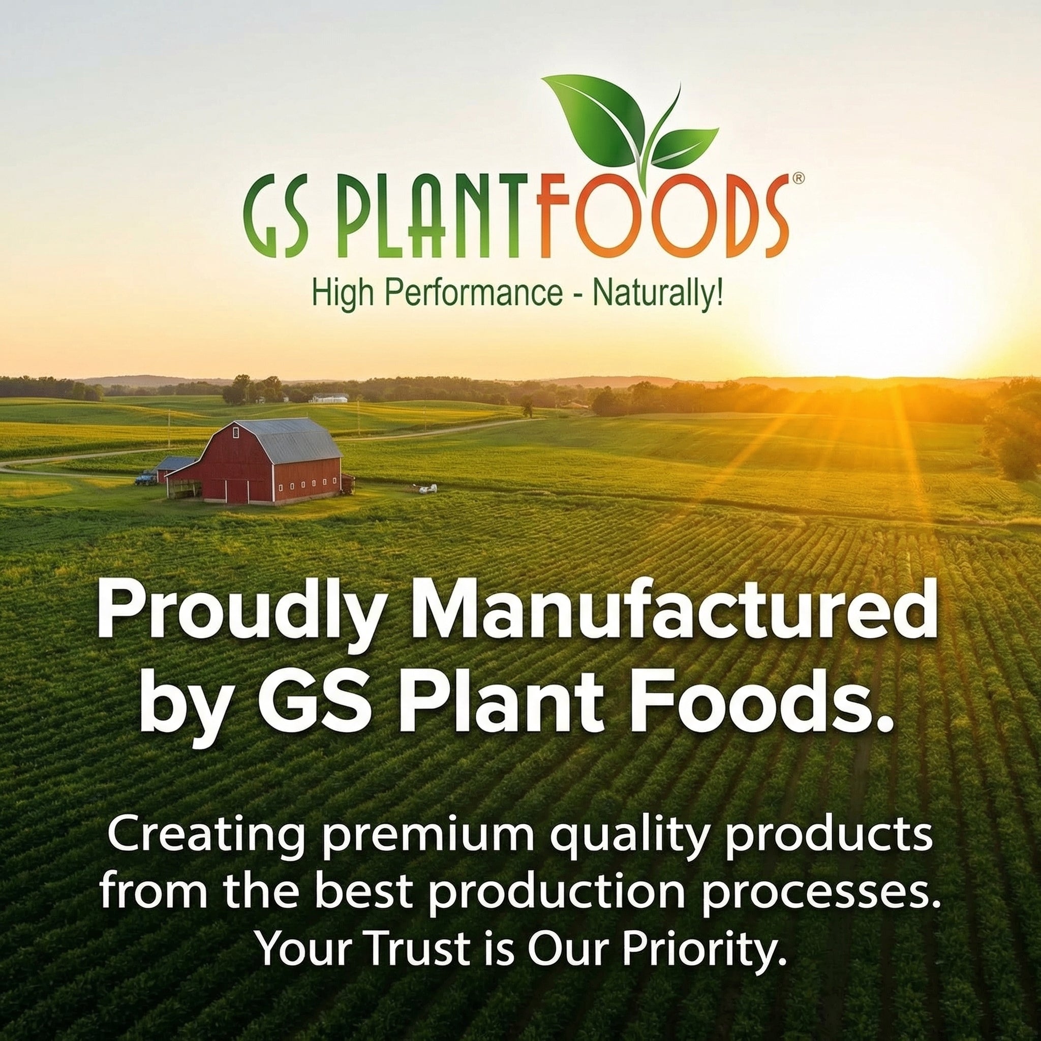 Amino Power Powder Nitrogen Fertilizer 16 oz - Plant-Based 100% Water Soluble High Nitrogen Source - 18 L-Amino Acids Chelating Agent for Foliar Spray, Turf, Vegetables, Fruits & Indoor Plants