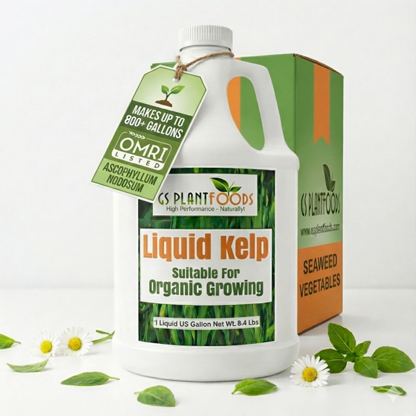 Organic Liquid Kelp