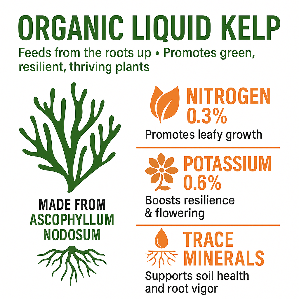 Organic Liquid Kelp Seaweed