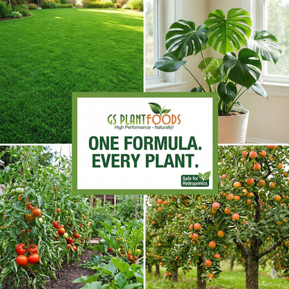 Organic Liquid Humic Acid