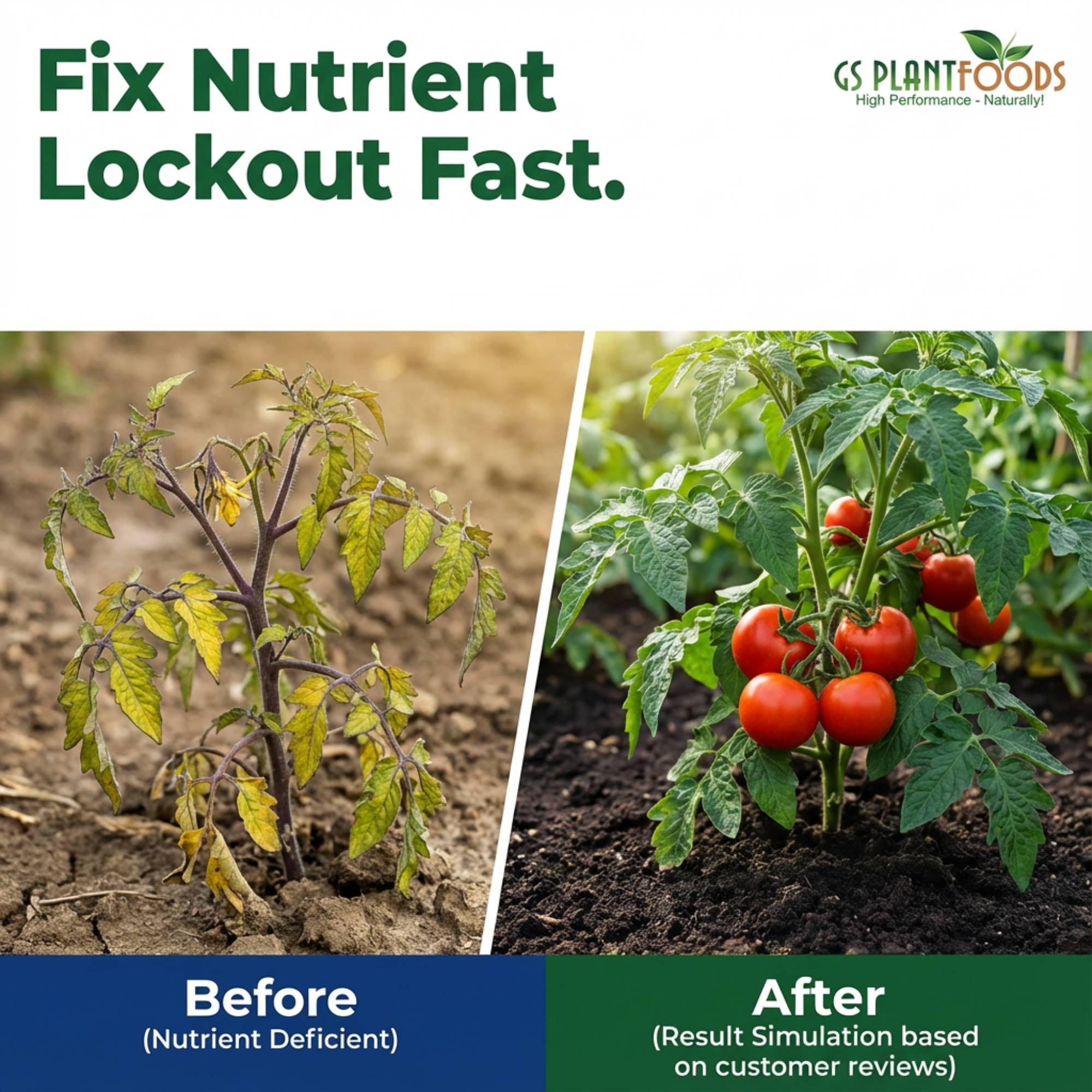 Fish & Kelp Liquid Blend Organic