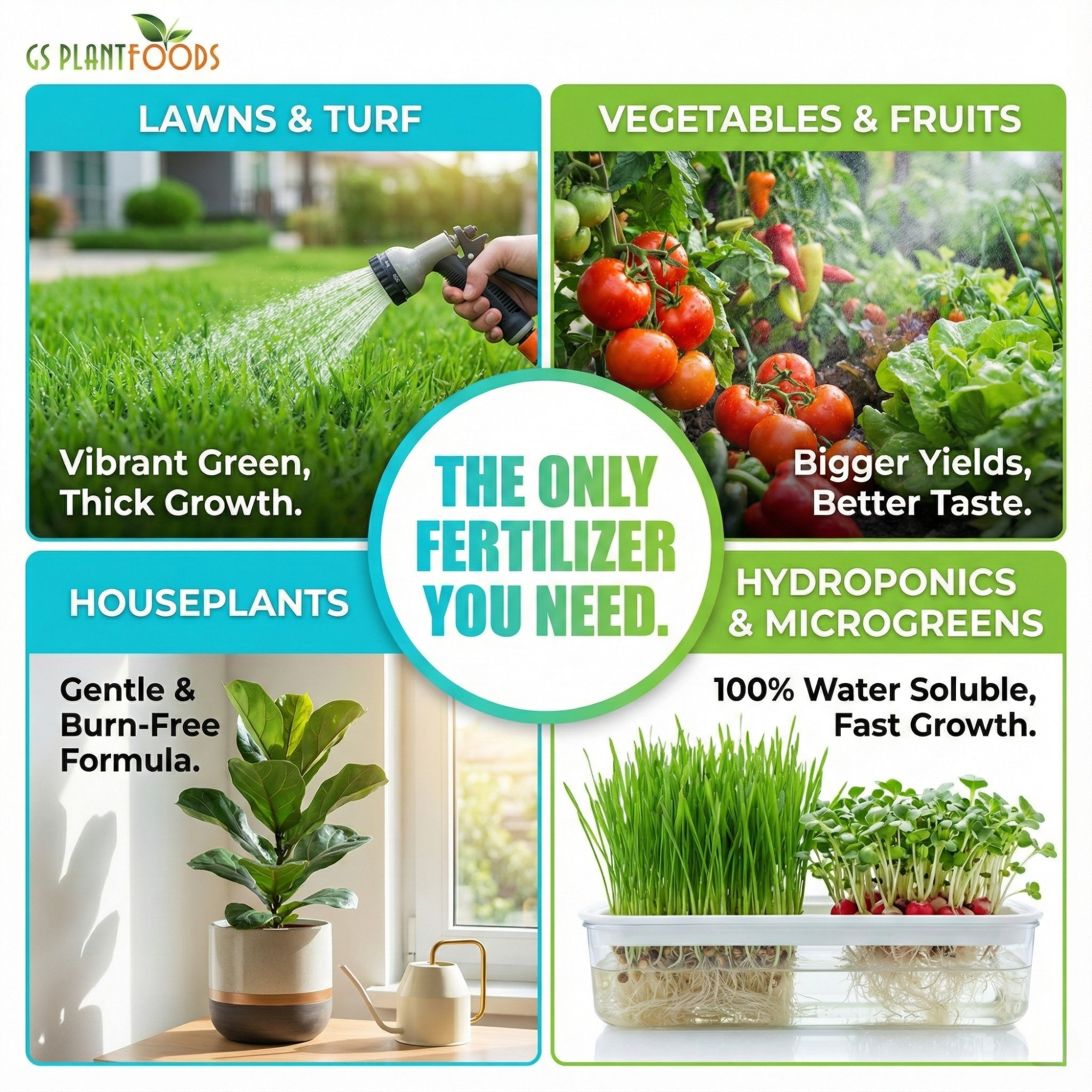 Ocean Magic Sea Minerals