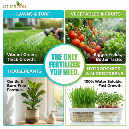 Ocean Magic Sea Minerals