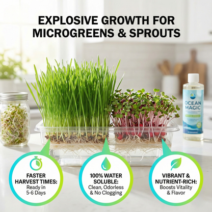 Ocean Magic Sea Minerals