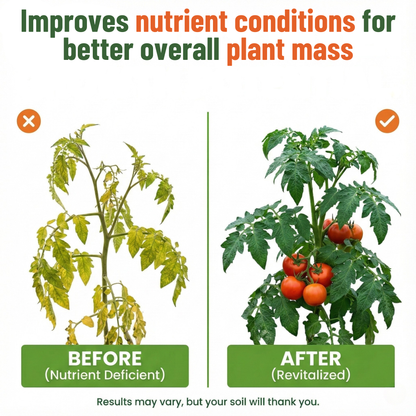 Organic Liquid Kelp Seaweed