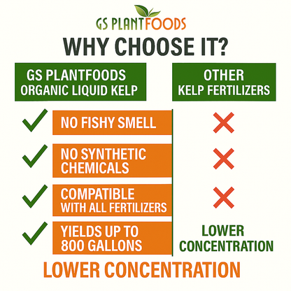 Organic Liquid Kelp Seaweed