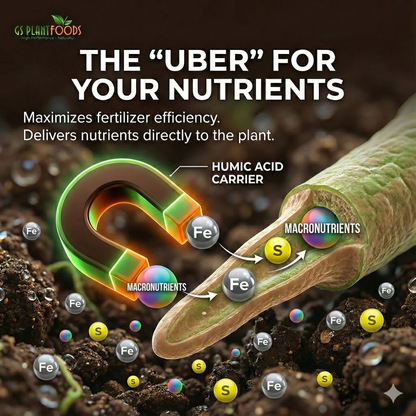 Organic Liquid Humic Acid