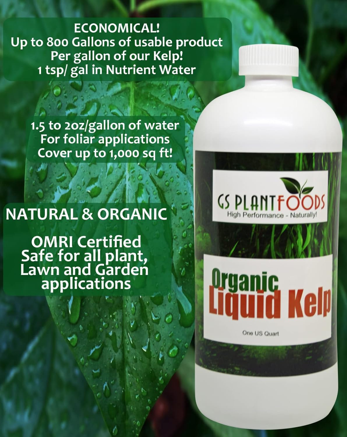 Organic Liquid Kelp Seaweed