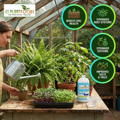 Ocean Magic Sea Minerals