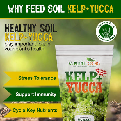 fertilizing yucca plants Kelp + Yucca – Organic Soil Moisture Retainer & Plant Growth Enhancer – Seaweed + Yucca Extract Blend for Stronger Roots, Better Water Absorption &