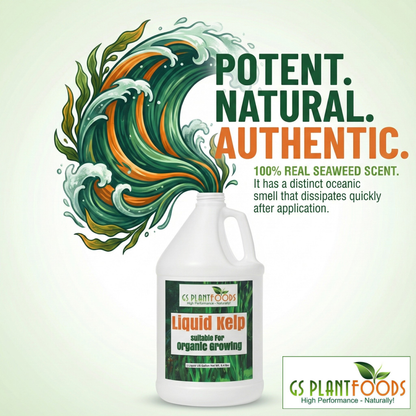 32 oz. organic fish and kelp liquid fertilizer Organic Liquid Kelp Seaweed 5 Gallons