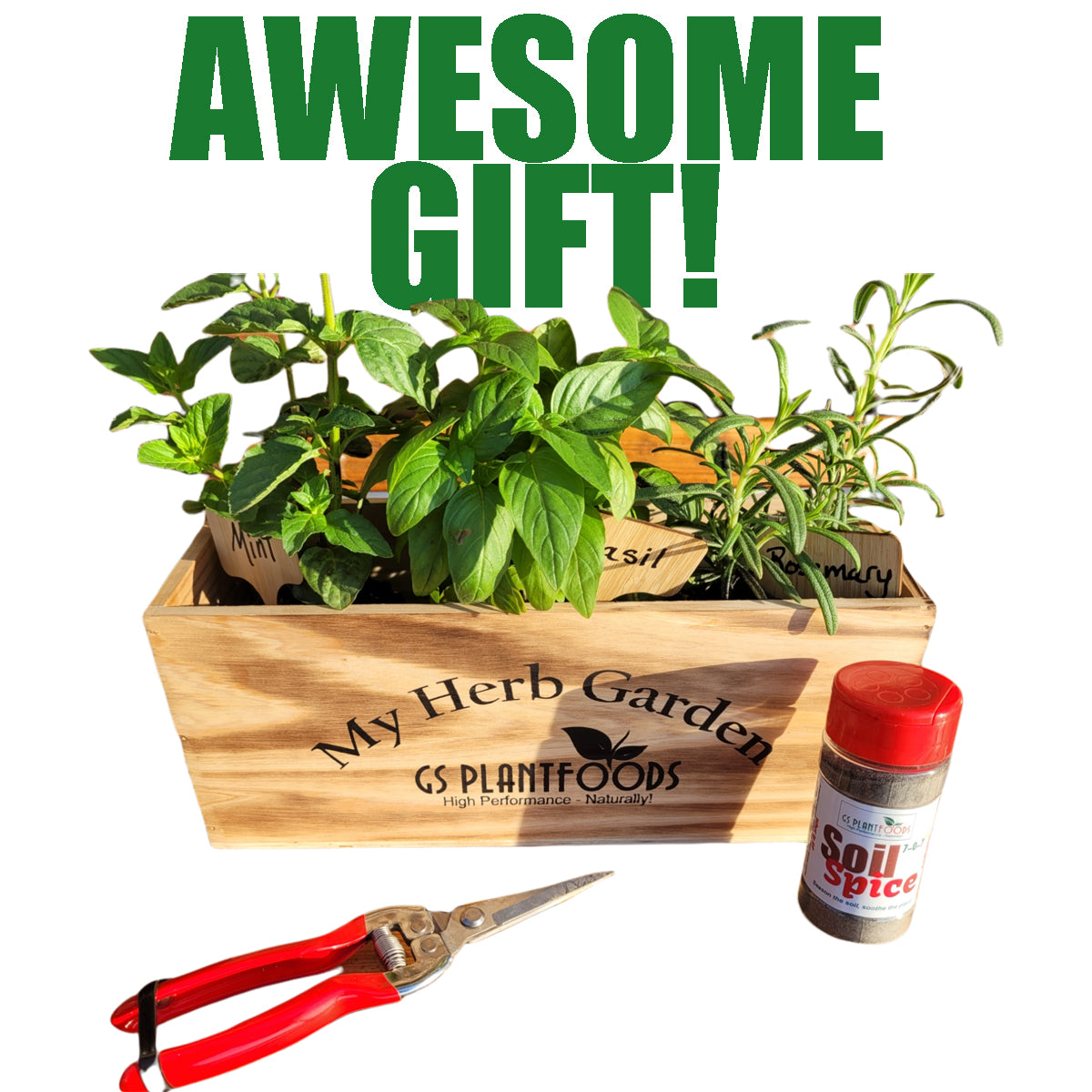 Herb Window Garden Gift Set- Complete windowsill herb garden growing kit