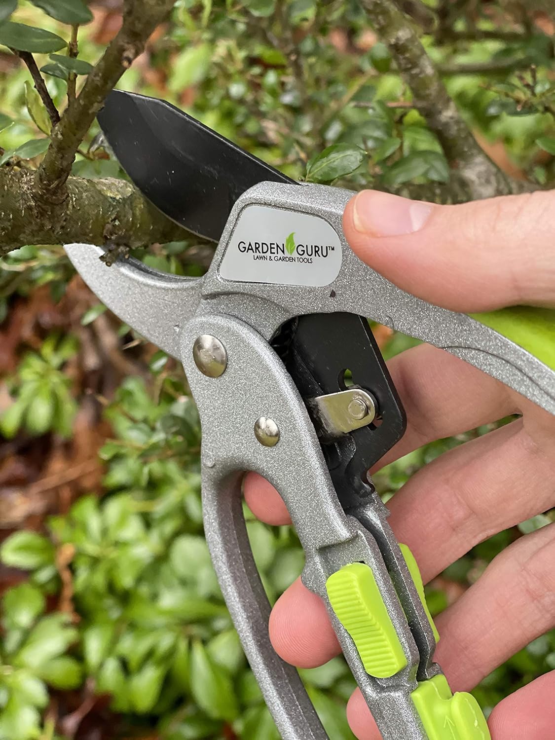 Ratchet Garden Pruning Shears Clippers Deluxe