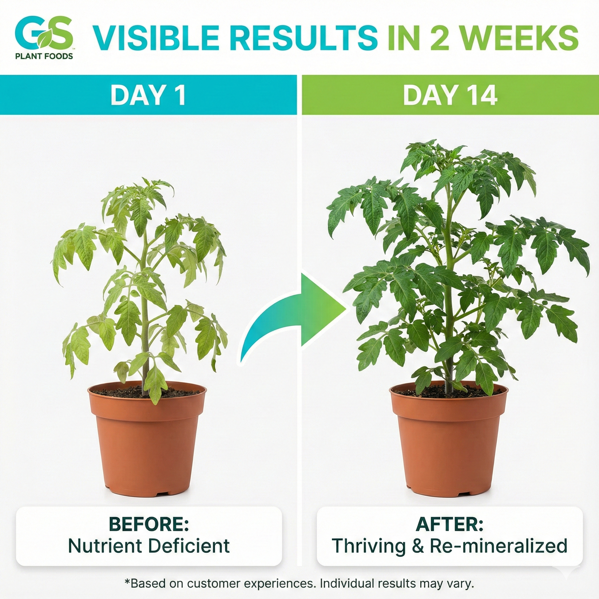 Ocean Magic Sea Minerals