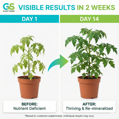 Ocean Magic Sea Minerals