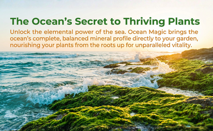 Ocean Magic Sea Minerals