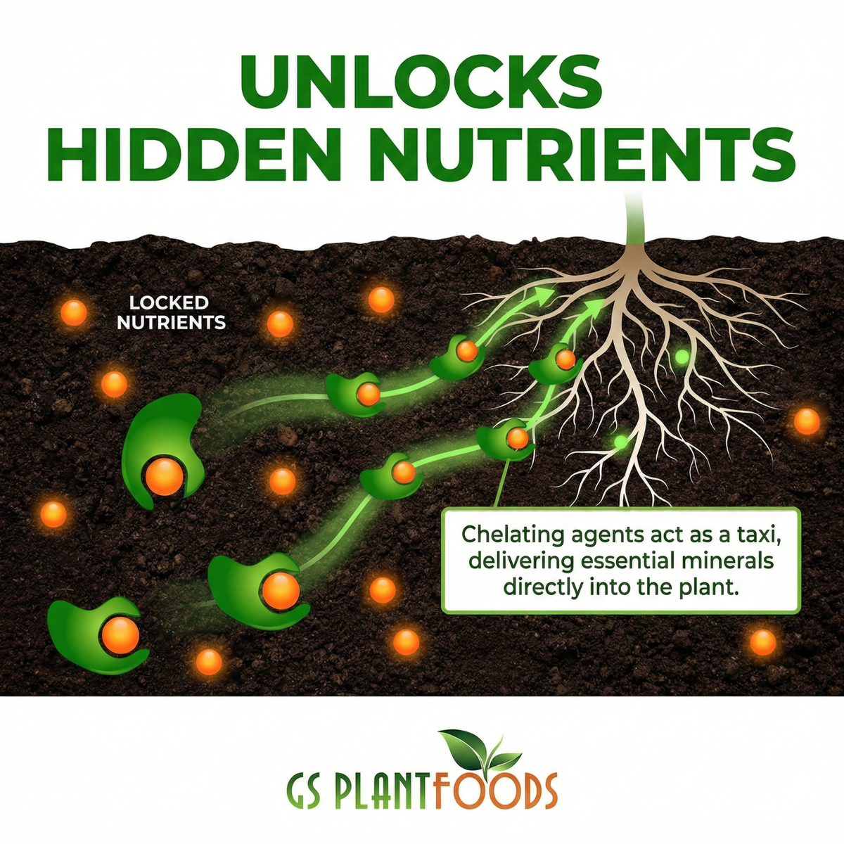 Root Ruckus! Turbo Charged Liquid Compost – GS Plant Foods