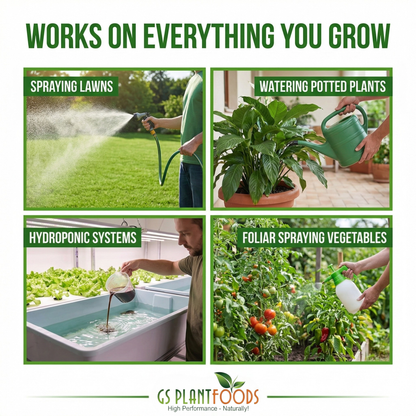 Root Ruckus! Turbo Charged Liquid Compost