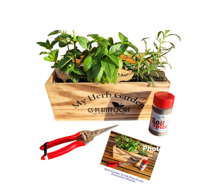 Herb Window Garden Gift Set- Complete windowsill herb garden growing kit