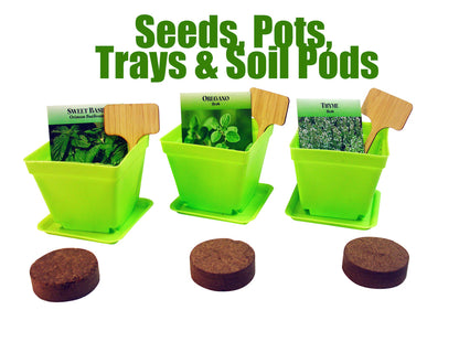 Herb Window Garden Gift Set- Complete windowsill herb garden growing kit