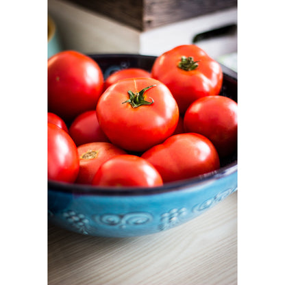 MaterAid Super Tomato Plant Food